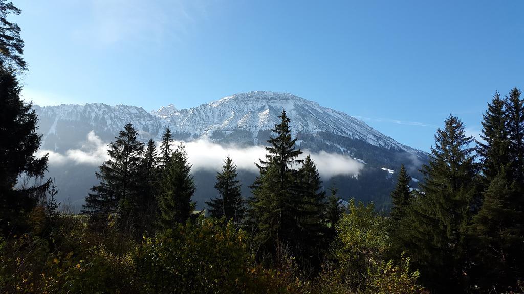 Dreimaederlhaus Am Berg Daire Pfronten Dış mekan fotoğraf